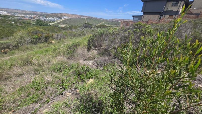 0 Bedroom Property for Sale in Seemeeu Park Western Cape